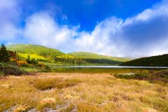 IMG_136911-2048x1145-1