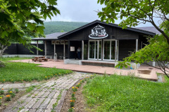 20230709_063206007_iOS