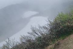 koderayama-3