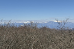 IMG_5983