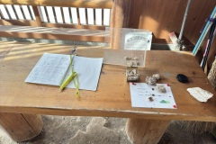 thumbs_IMG_7496