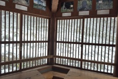 thumbs_IMG_7497