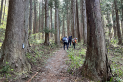 20230422_002925053_iOS