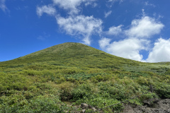 20220819_035425755_iOS