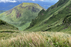 20220819_042918709_iOS