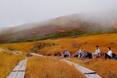 trashed-1636415045-DSC_0051-2-scaled-1