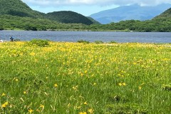 thumbs_981b7339a3434fffe617301f6783938d