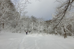 1_20230312_052552227_iOS