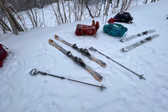 1_20230312_052731675_iOS