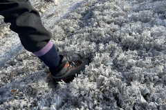 20221202_233720652_iOS