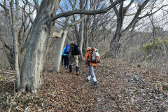 20221202_235020974_iOS