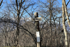 20221203_022910358_iOS