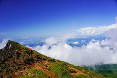 20230820-A7303232-scaled-1