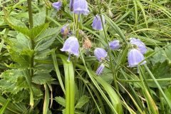 20230820_011716753_iOS-scaled-1