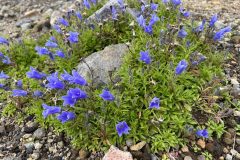 20230820_044833388_iOS-scaled-1