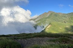 20230820_082451714_iOS-scaled-1